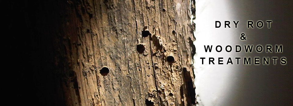 Dry Rot Specialist Somerset